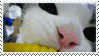 stamp30