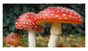 stamp67